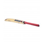 GM Purist Super Star Kashmir Willow Cricket Bat